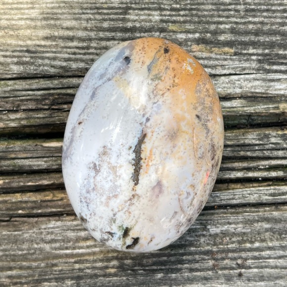 Ocean Jasper Palm - Picture 5 of 5